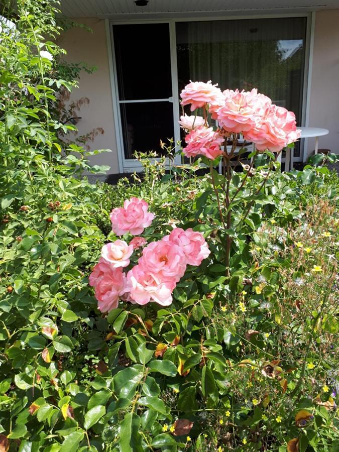 Entire House, Quiet City Location, Garden, Parking Bielefeld Esterno foto